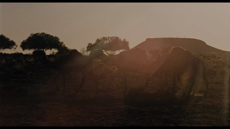 Screen capture from Walkabout