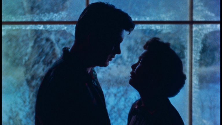 Screen capture from All That Heaven Allows