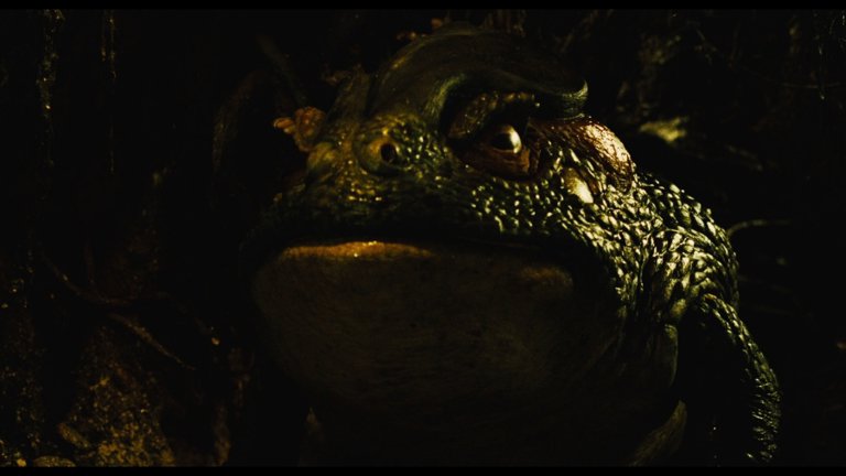 Screen capture from Pan's Labyrinth
