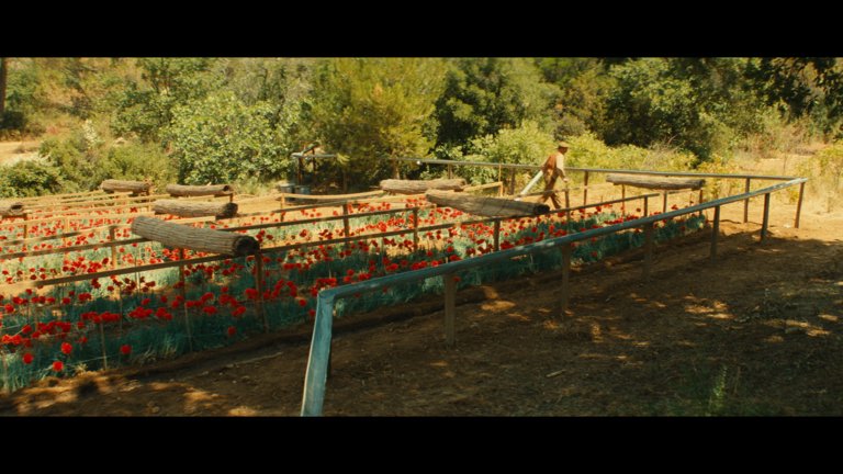 Screen capture from Jean de Florette / Manon of the Spring: Two Films by Claude Berri