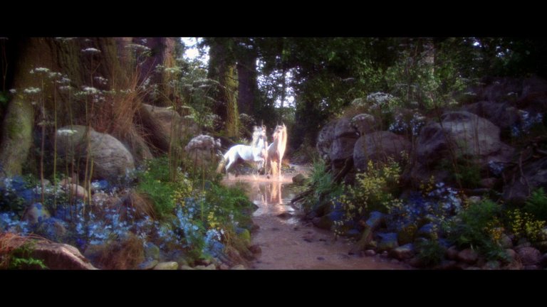 Screen capture from Legend