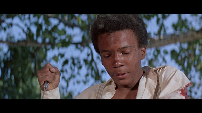 Screen capture from The Learning Tree