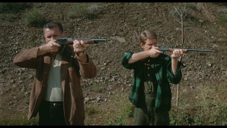 Screen capture from Targets