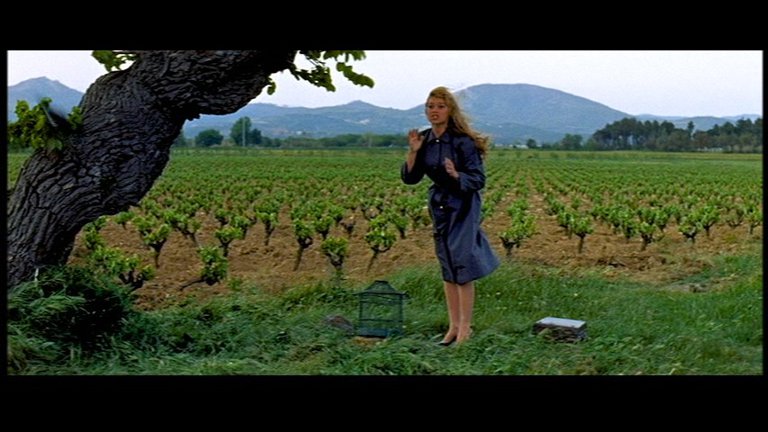 Screen capture from And God Created Woman