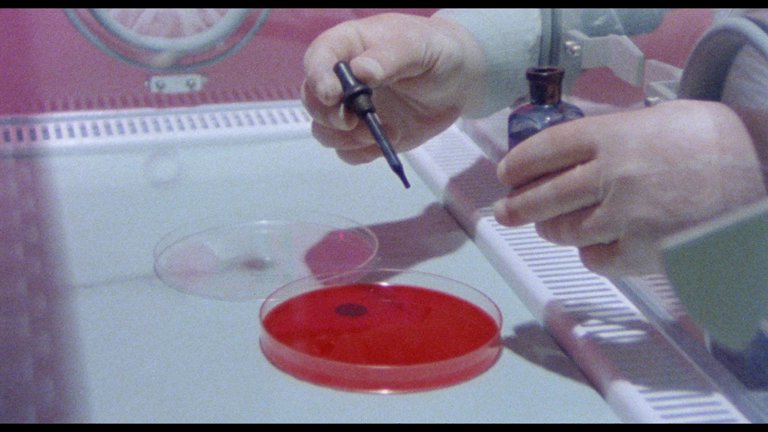 Screen capture from Weird Wisconsin: The Bill Rebane Collection