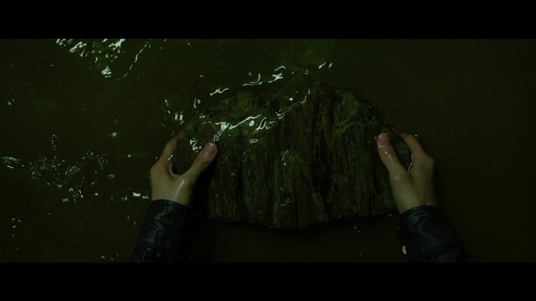 Screen capture from Parasite