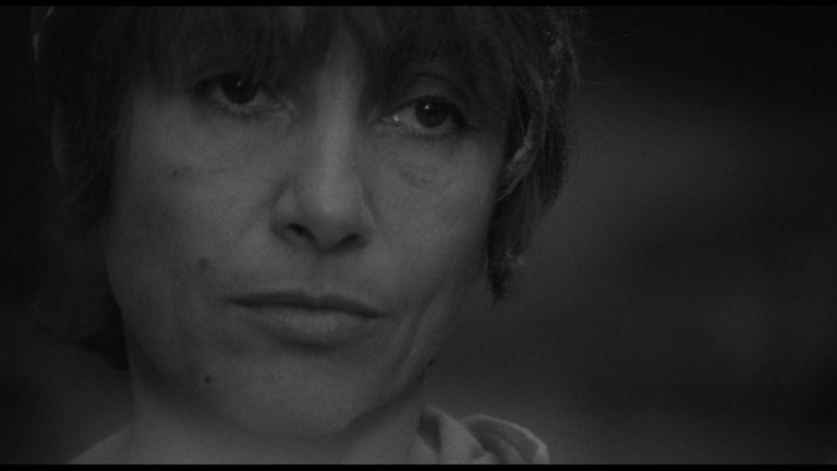 Screen capture from Adoption