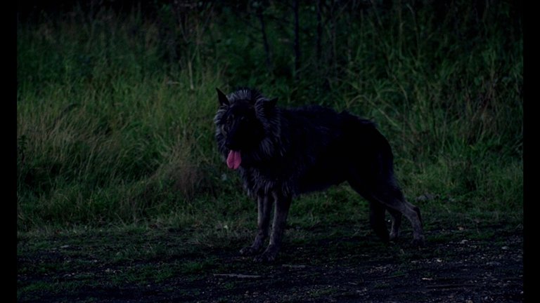 Screen capture from The Beast Must Die