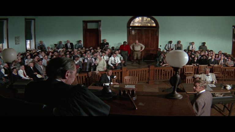 Screen capture from The Learning Tree