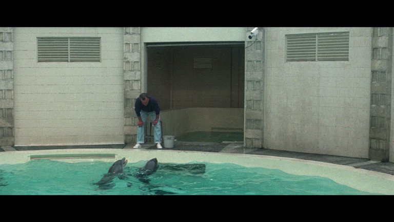 Screen capture from The Day of the Dolphin
