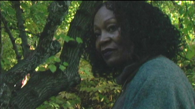 Screen capture from Symbiopsychotaxiplasm: Two Takes by William Greaves
