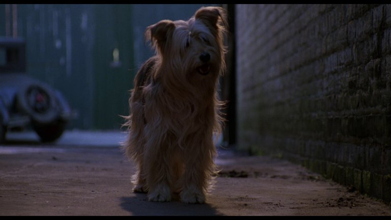 Screen capture from Miller's Crossing