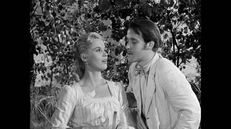 Screen capture from Wild Strawberries