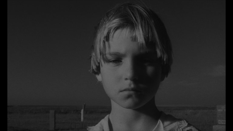 Screen capture from Paper Moon