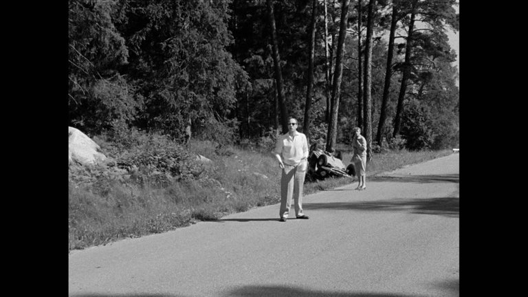 Screen capture from Wild Strawberries