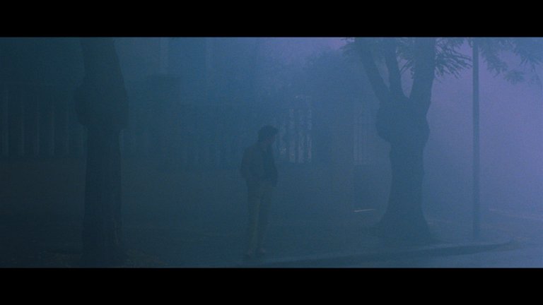 Screen capture from The Bird with the Crystal Plumage