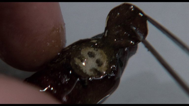 Screen capture from The Silence of the Lambs
