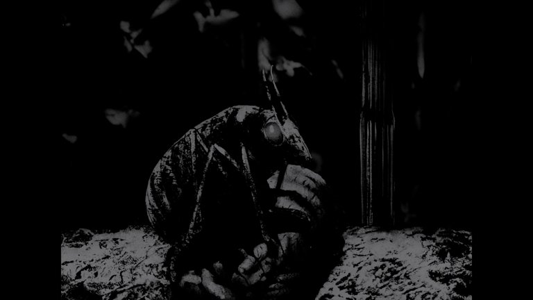 Screen capture from Essential Polish Animation