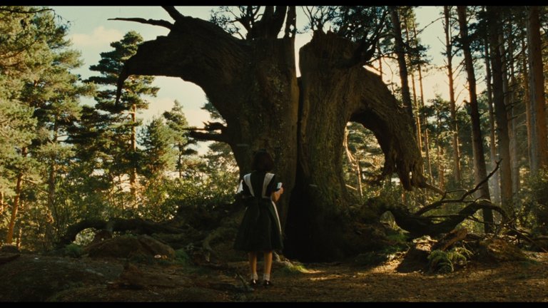 Screen capture from Pan's Labyrinth