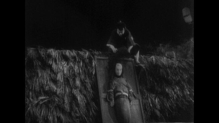 Screen capture from The Story of the Last Chrysanthemum