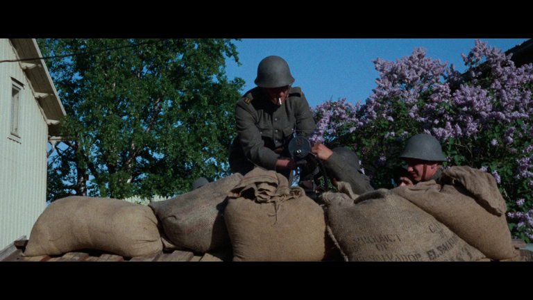 Screen capture from Bo Widerberg’s New Swedish Cinema