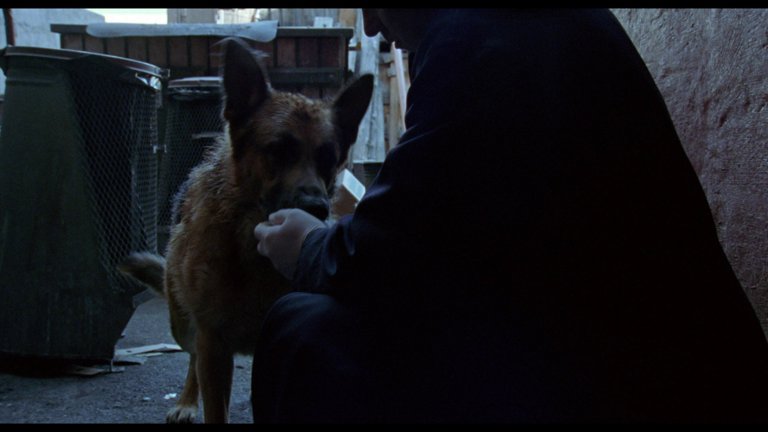 Screen capture from Insomnia