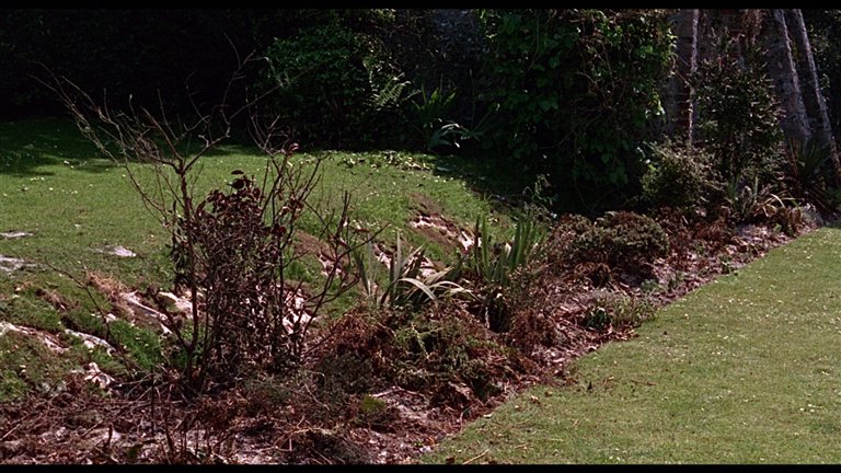 Screen capture from The Chalk Garden