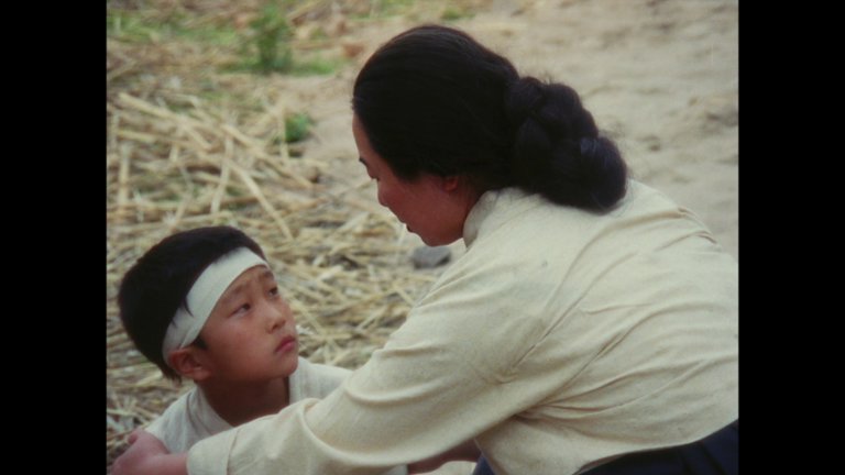 Screen capture from Revenge / Limite