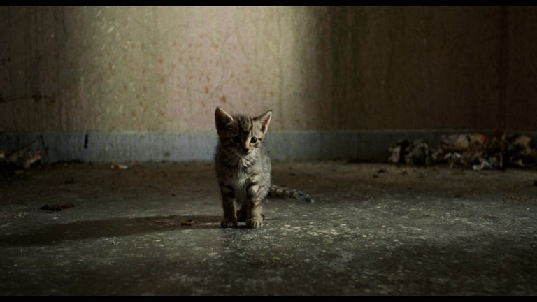 Screen capture from Trainspotting