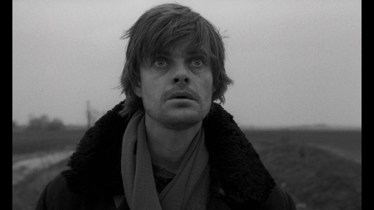 Screen capture from Werckmeister Harmonies