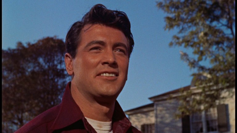 Screen capture from All That Heaven Allows