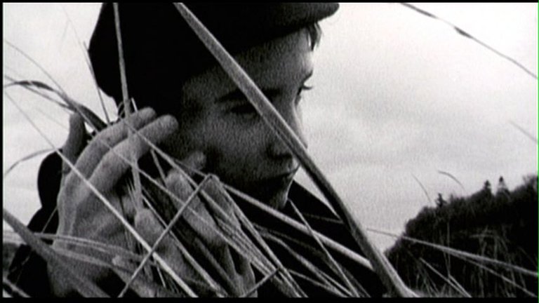 Screen capture from Brand Upon the Brain!