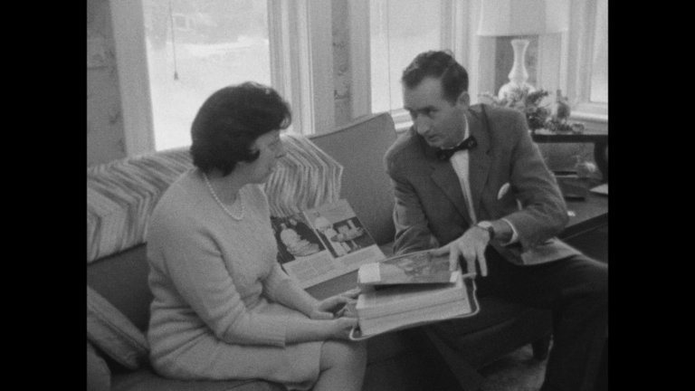 Screen capture from Salesman