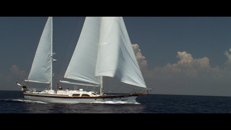 Screen capture from Wild Things