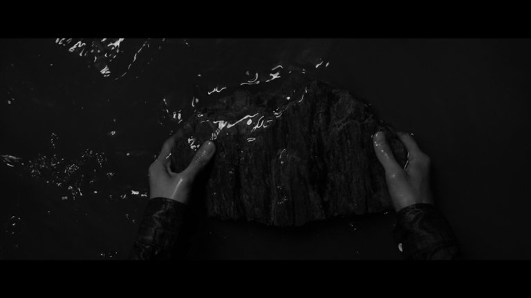 Screen capture from Parasite