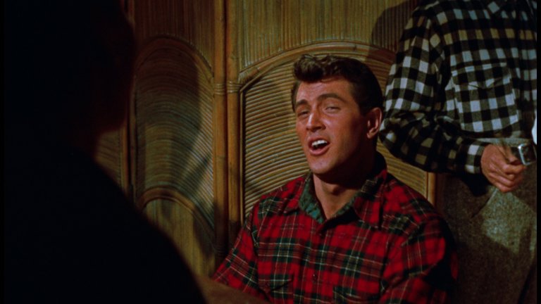 Screen capture from All That Heaven Allows