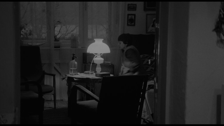 Screen capture from Adoption