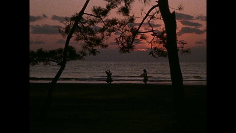 Screen capture from The Samurai Trilogy