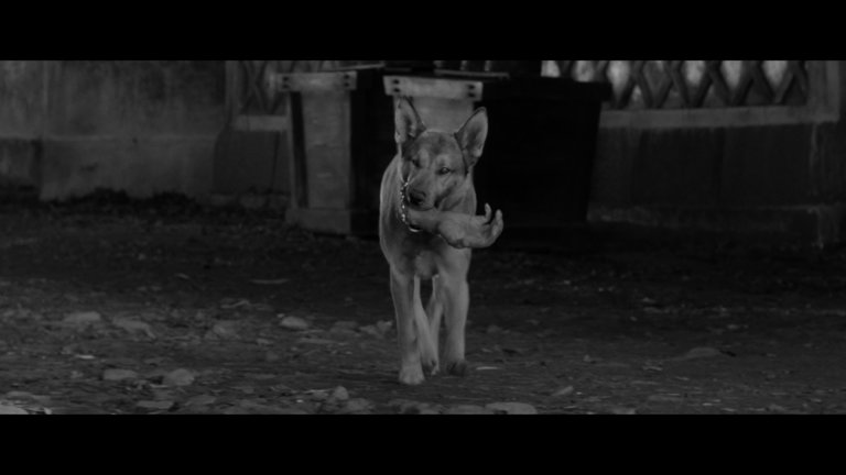 Screen capture from Yojimbo