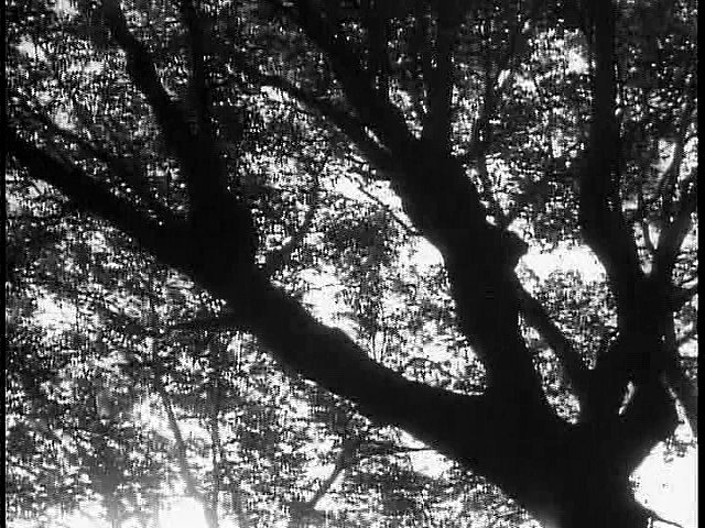 Screen capture from Seven Samurai