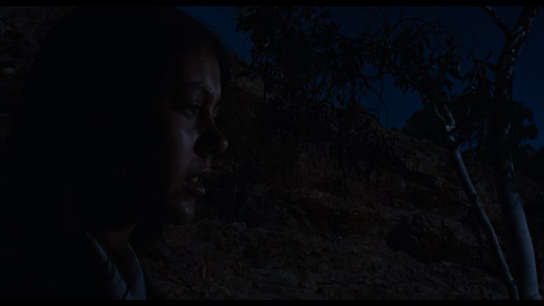 Screen capture from Walkabout