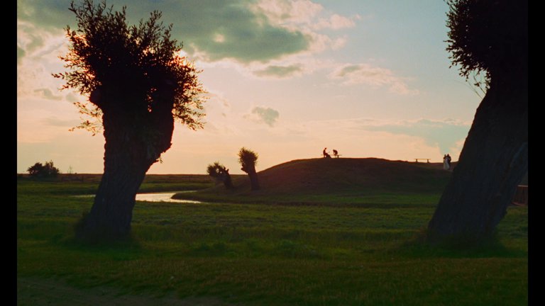 Screen capture from Bo Widerberg’s New Swedish Cinema