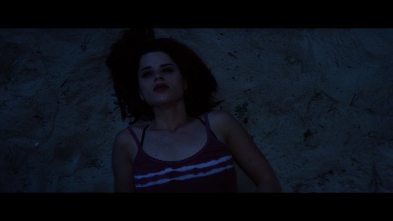 Screen capture from Wild Things