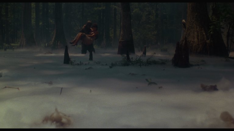 Screen capture from Swamp Thing