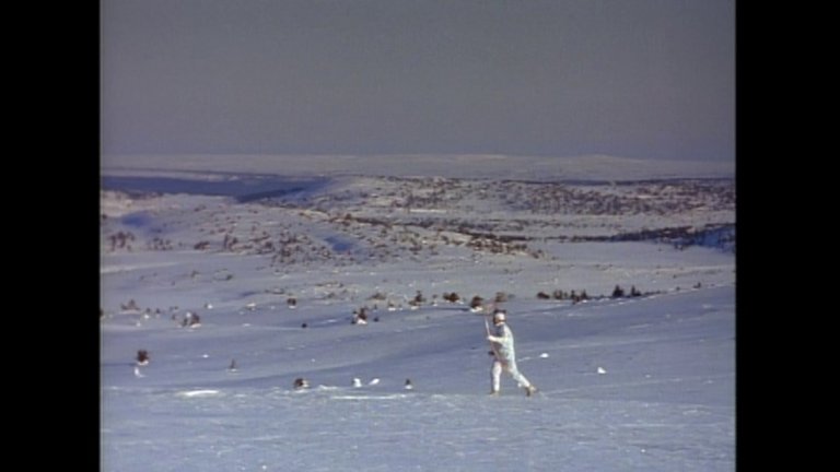 Screen capture from 100 Years of Olympic Films
