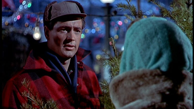 Screen capture from All That Heaven Allows