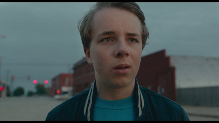 Screen capture from Wildlife