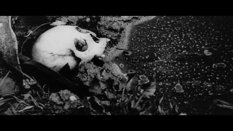 Screen capture from Red Angel