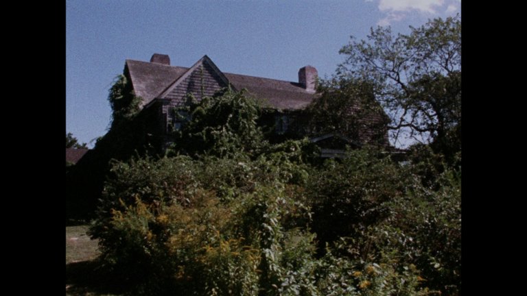 Screen capture from Grey Gardens