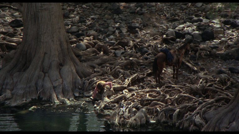 Screen capture from Buck and the Preacher